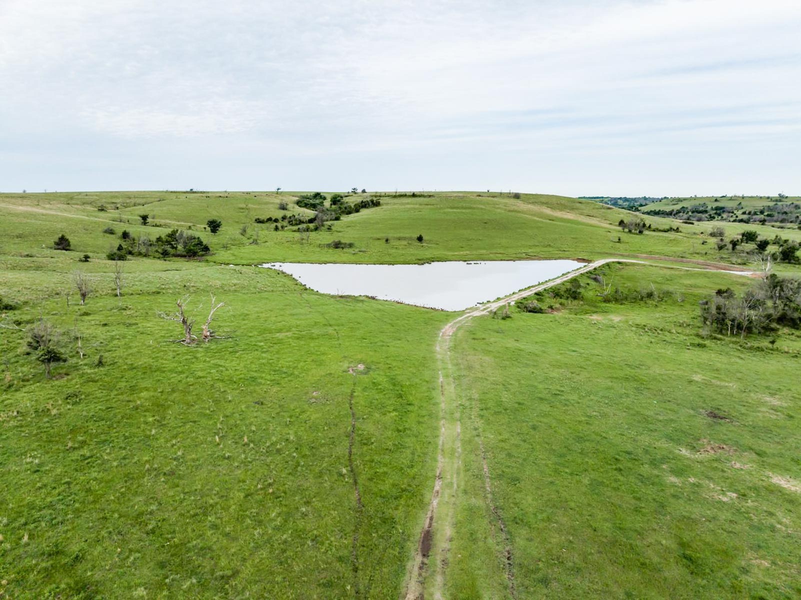 Five Star Legacy Ranch property picture 106 of 123