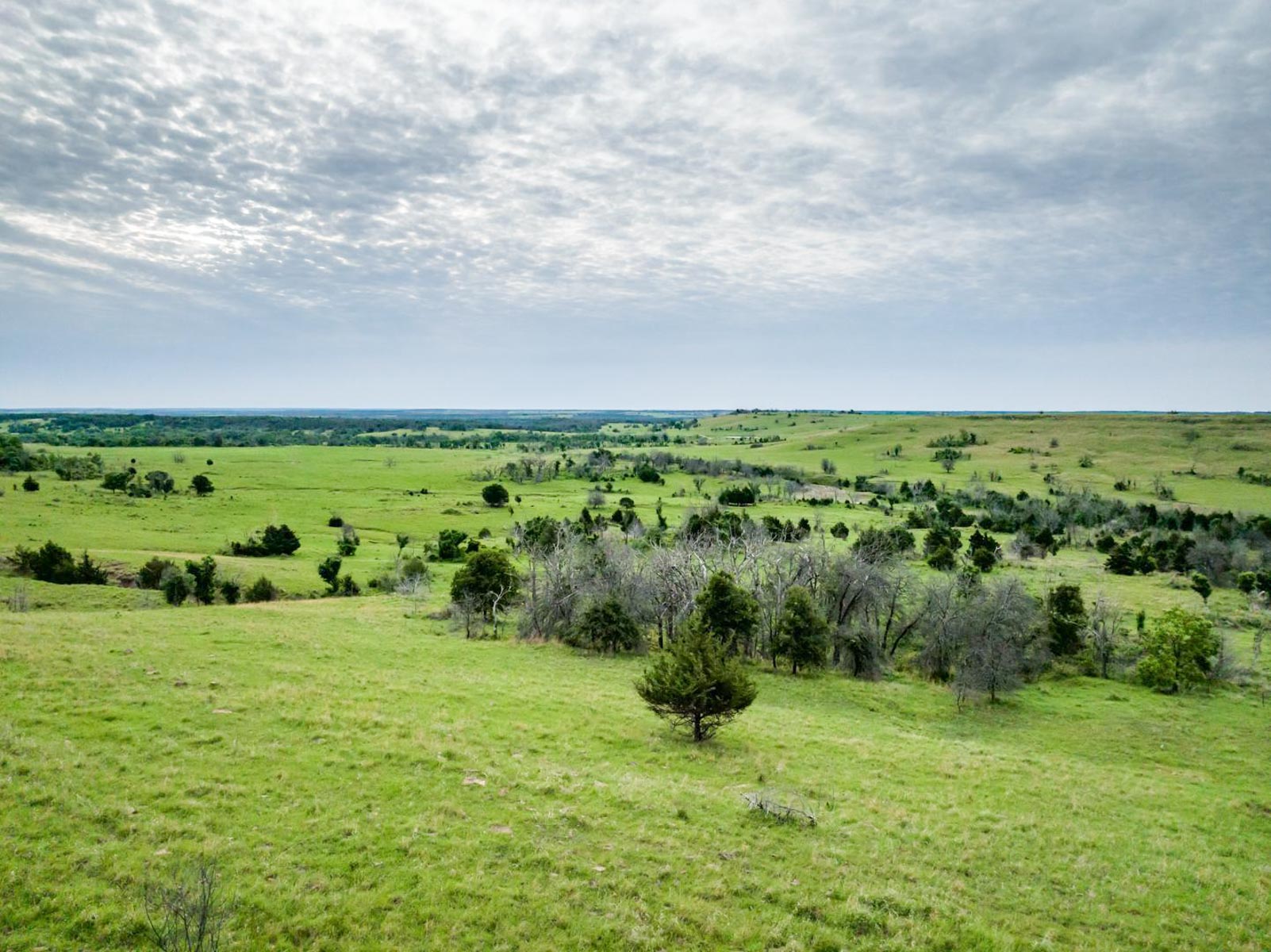 Five Star Legacy Ranch property picture 10 of 123