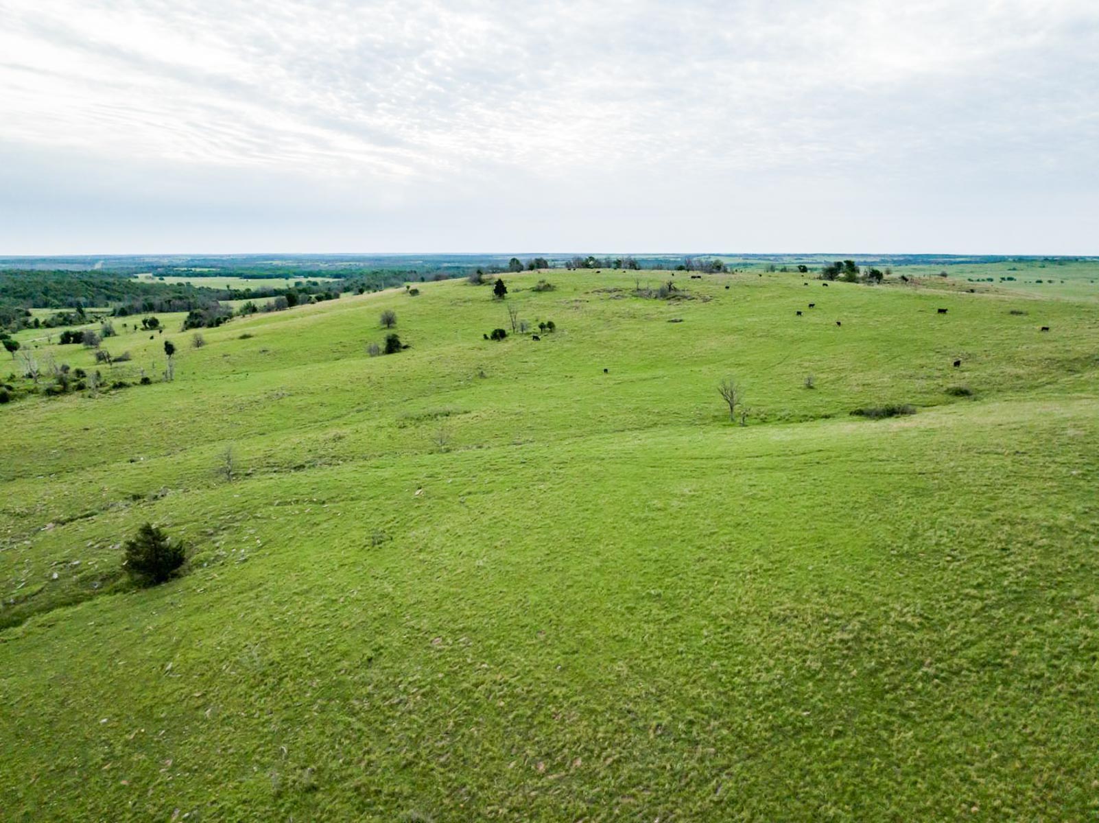 Five Star Legacy Ranch property picture 12 of 123
