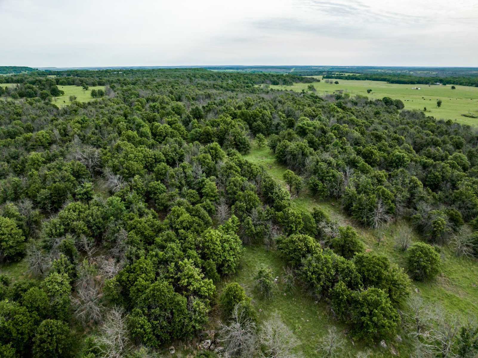 Five Star Legacy Ranch property picture 102 of 123