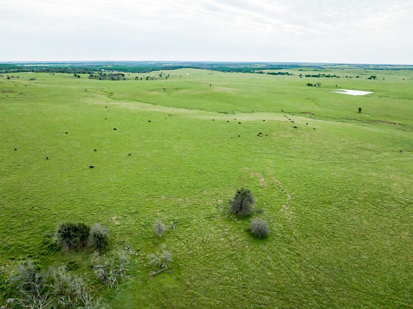 Five Star Legacy Ranch property picture 93 of 123