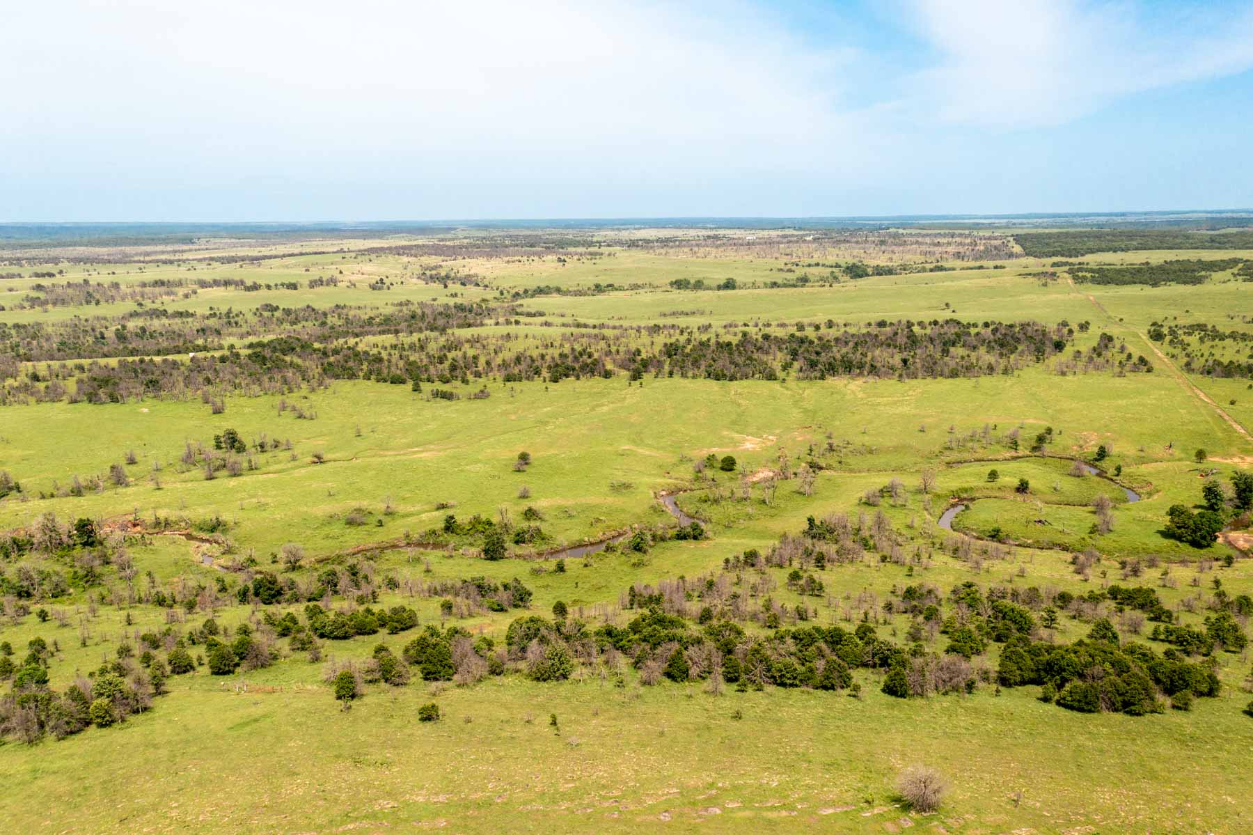 Five Star Legacy Ranch property picture 65 of 123