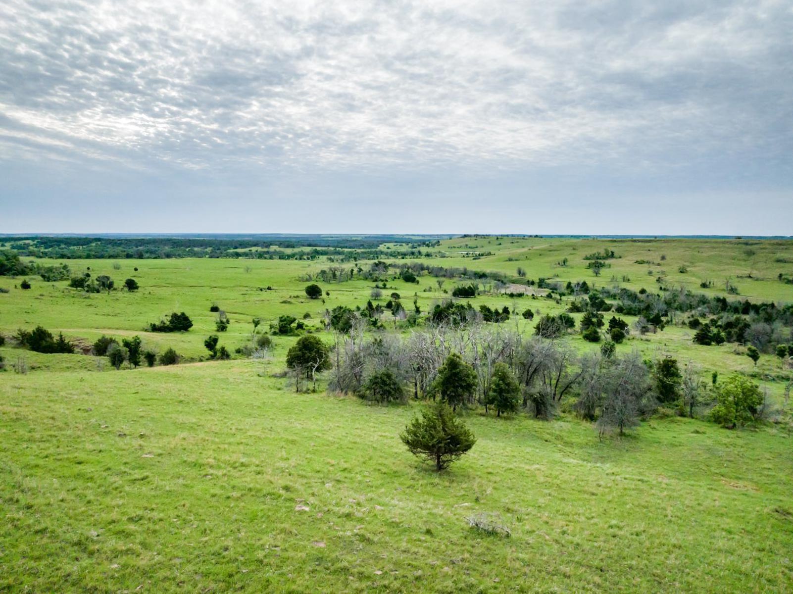 Five Star Legacy Ranch property picture 77 of 123