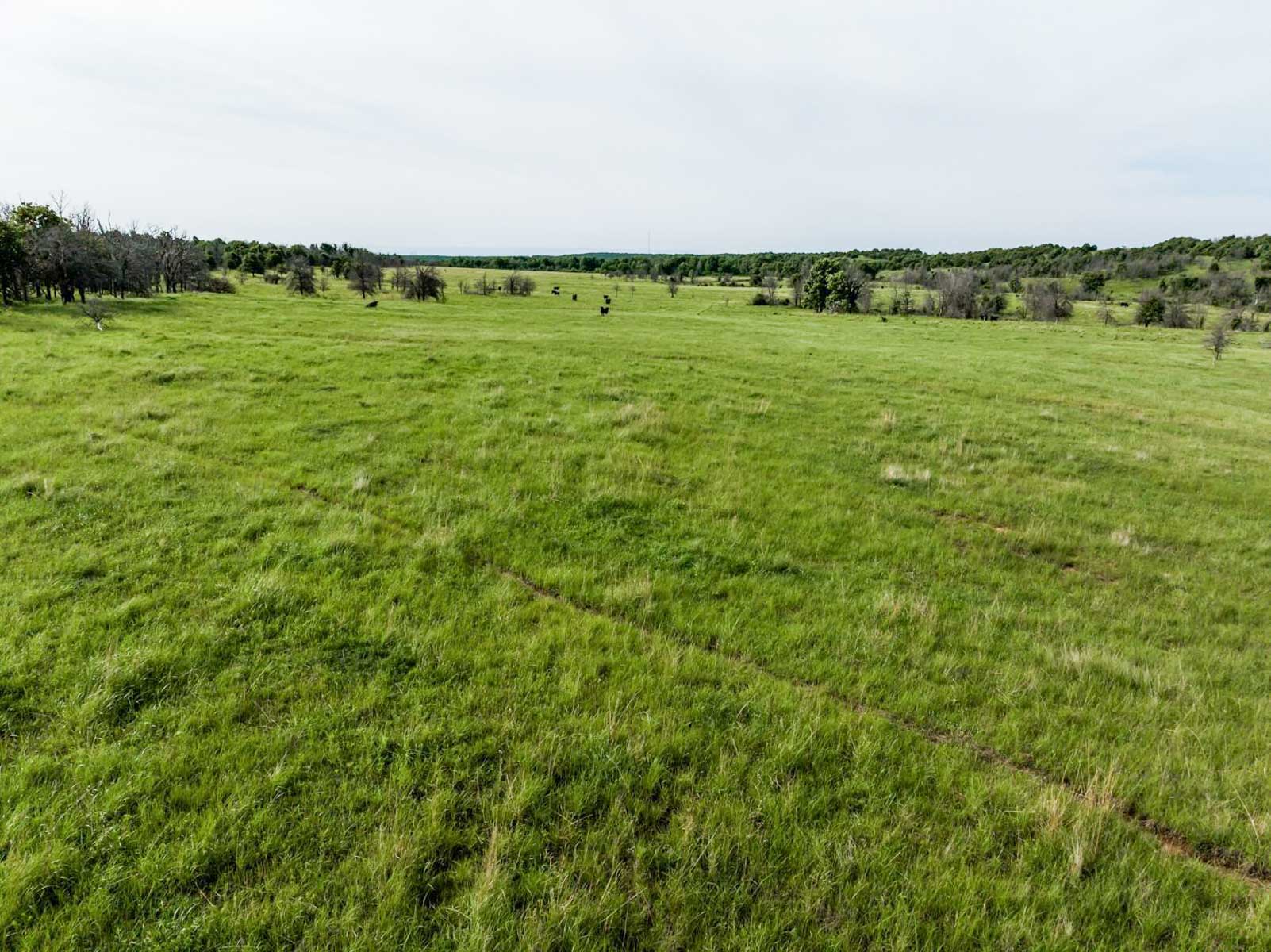 Five Star Legacy Ranch property picture 115 of 123