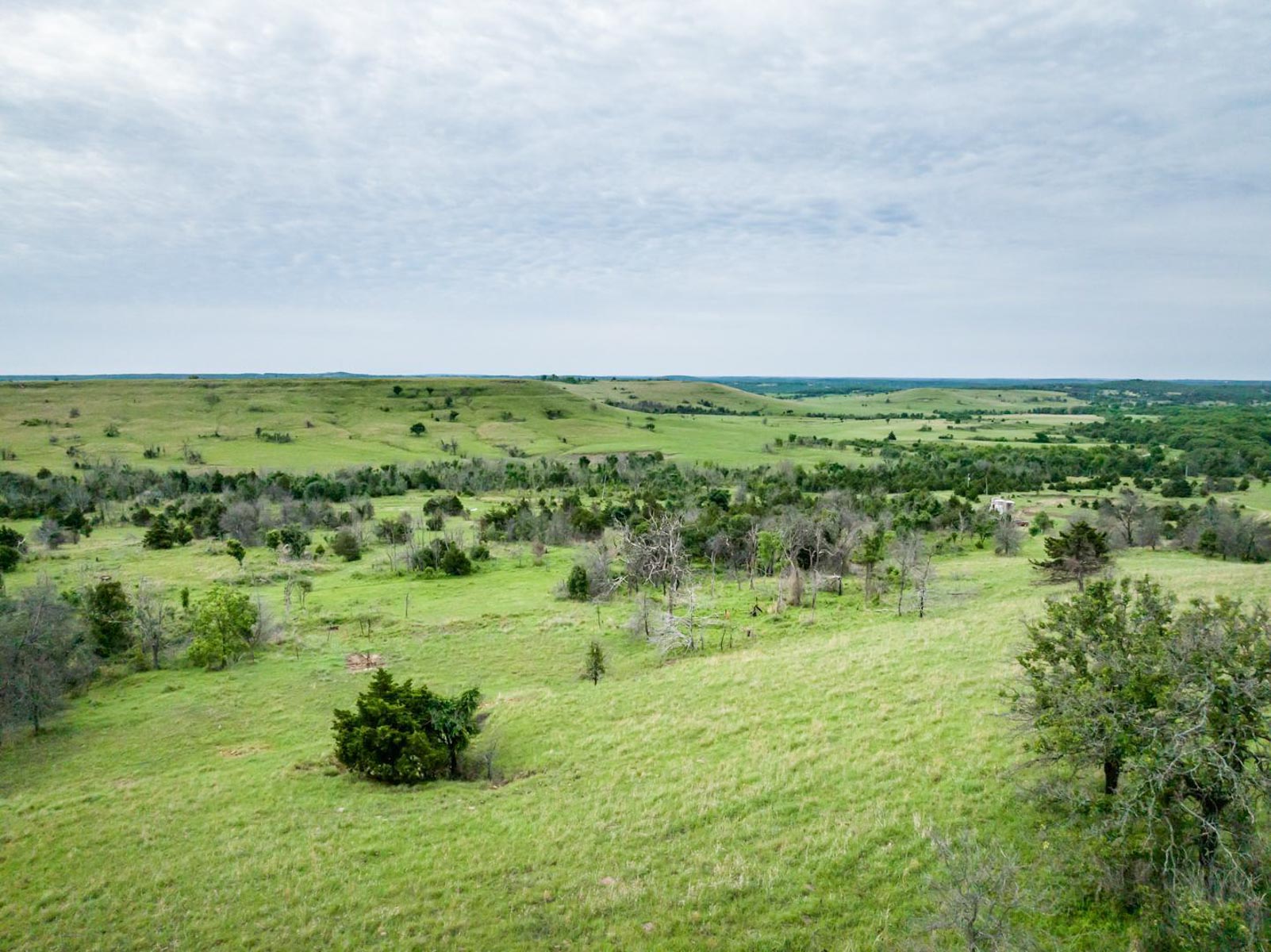 Five Star Legacy Ranch property picture 78 of 123