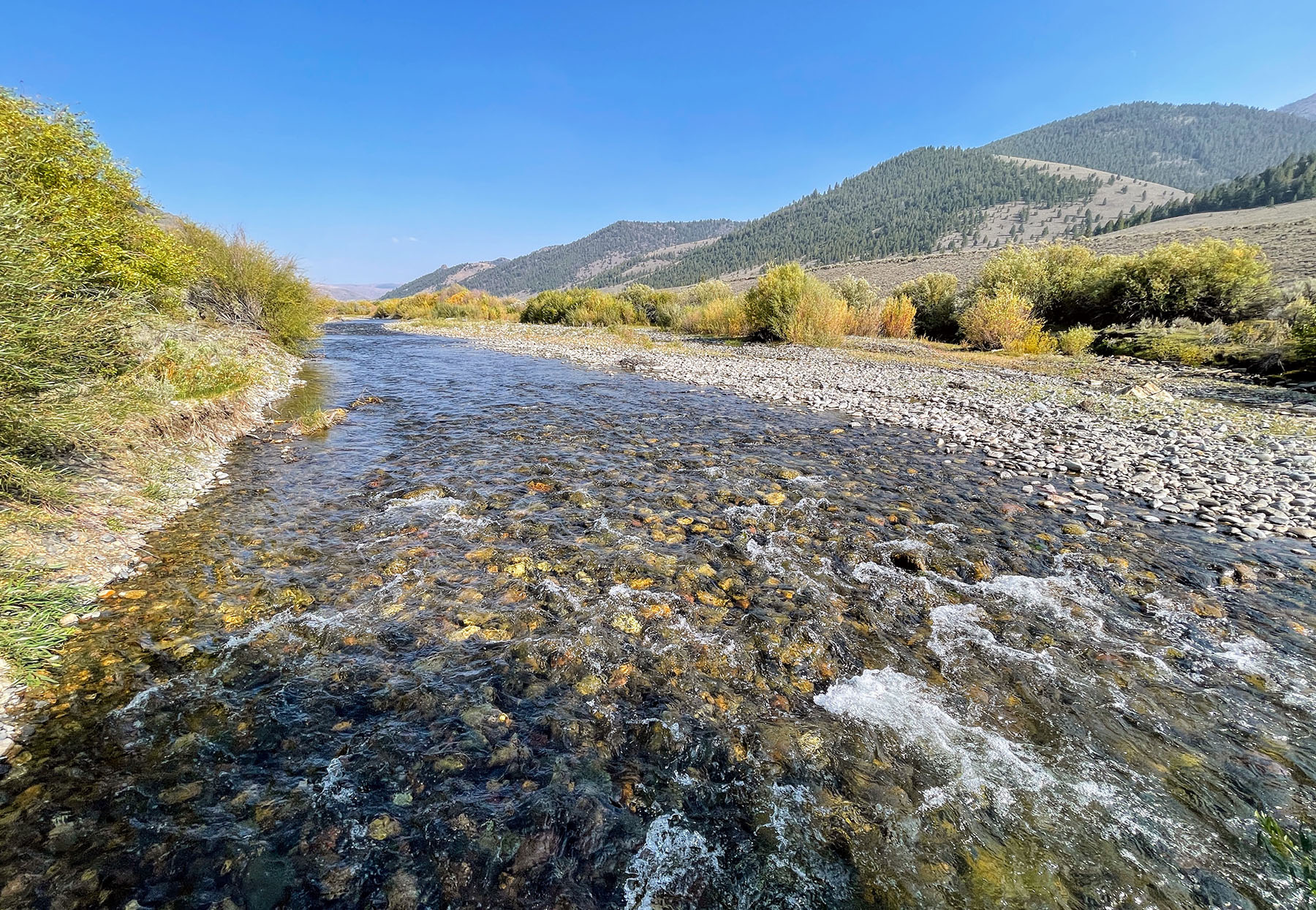 Copper Basin Ranch property picture 34 of 72
