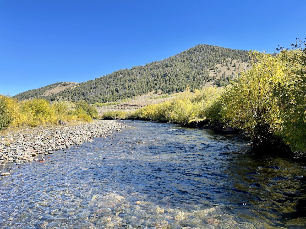 Copper Basin Ranch property picture 49 of 72