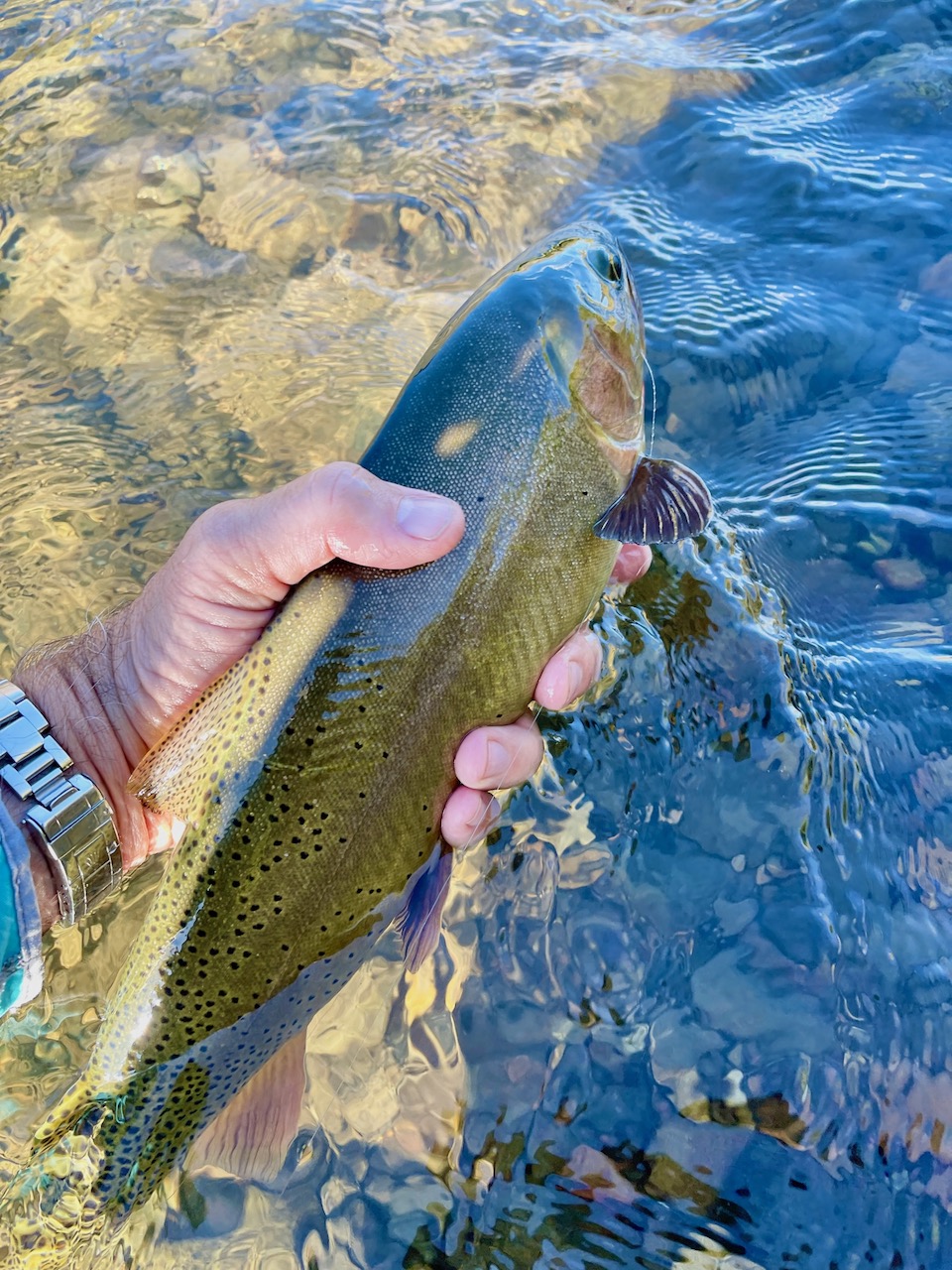 Copper Basin Ranch property picture 20 of 72