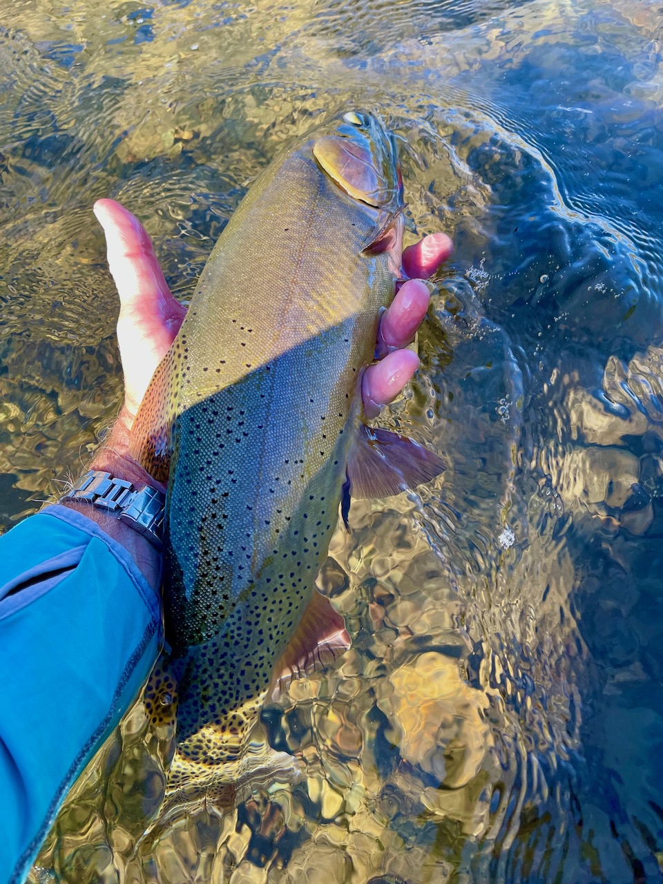 Copper Basin Ranch property picture 19 of 72