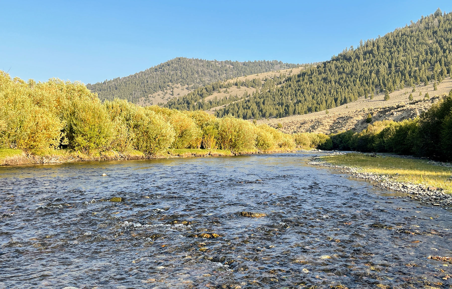 Copper Basin Ranch property picture 2 of 72