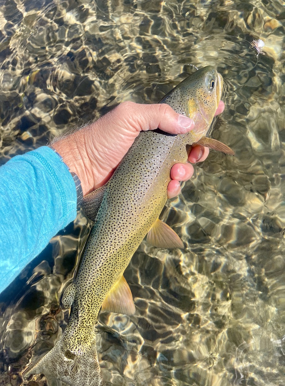 Copper Basin Ranch property picture 18 of 72