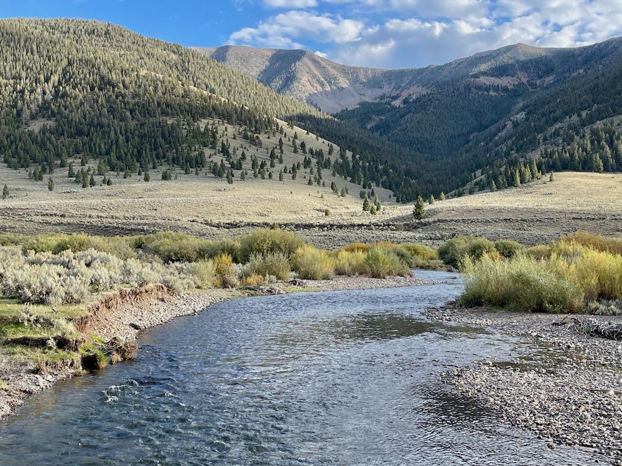 Copper Basin Ranch property picture 53 of 72