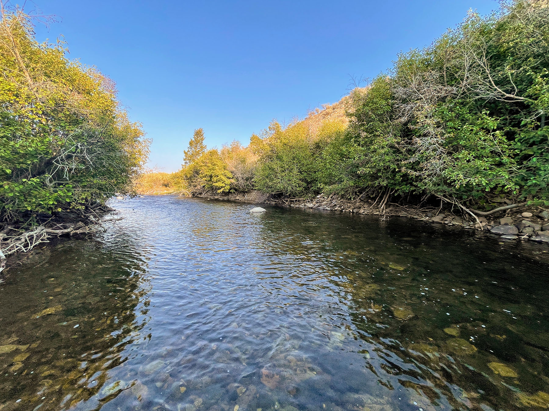 Copper Basin Ranch property picture 29 of 72
