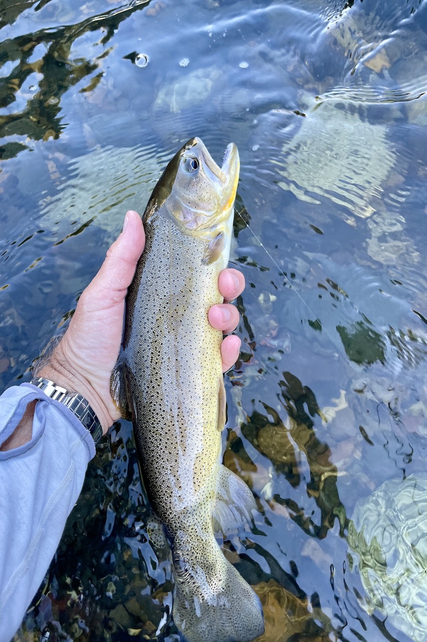 Copper Basin Ranch property picture 17 of 72
