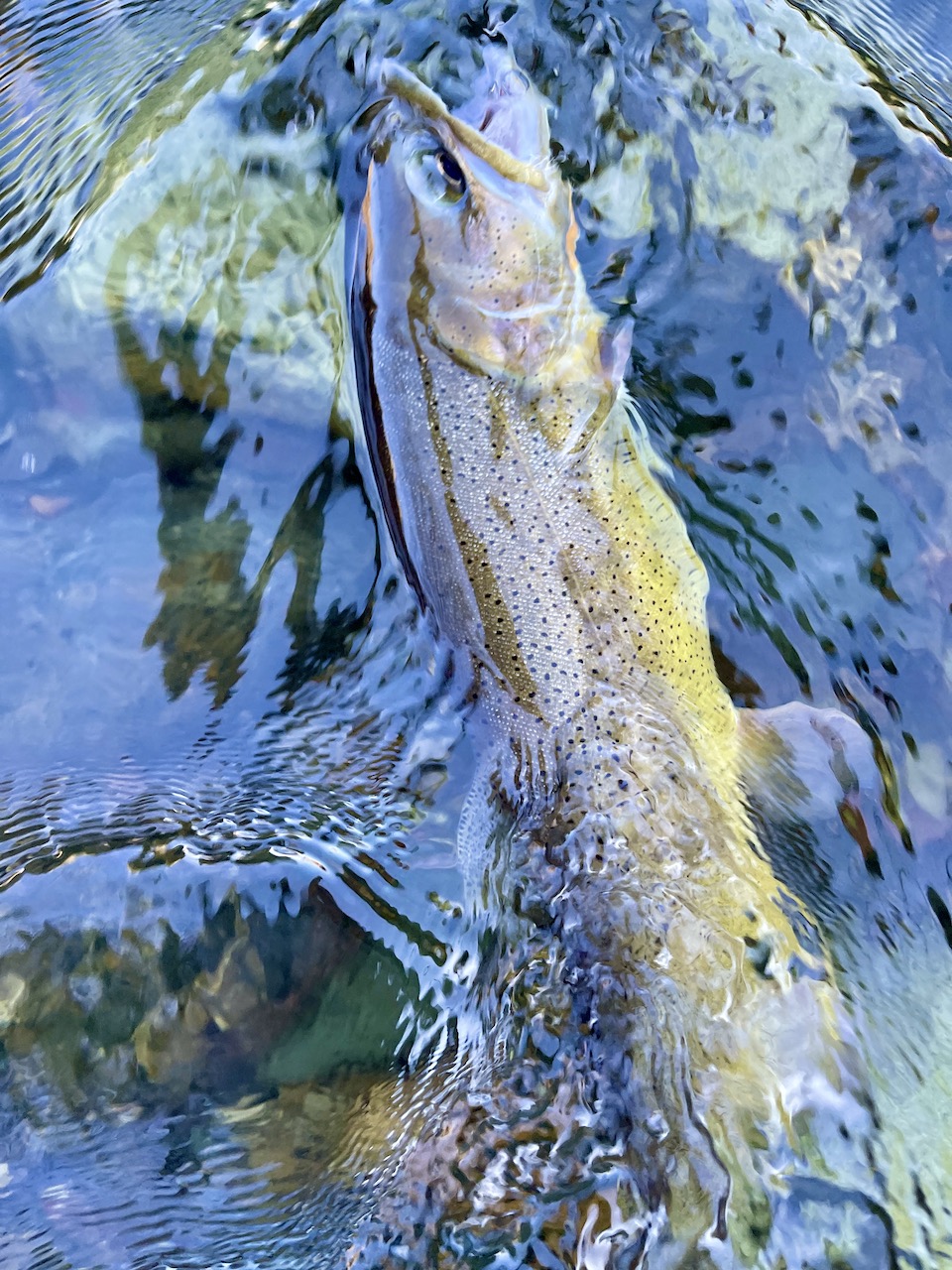 Copper Basin Ranch property picture 16 of 72