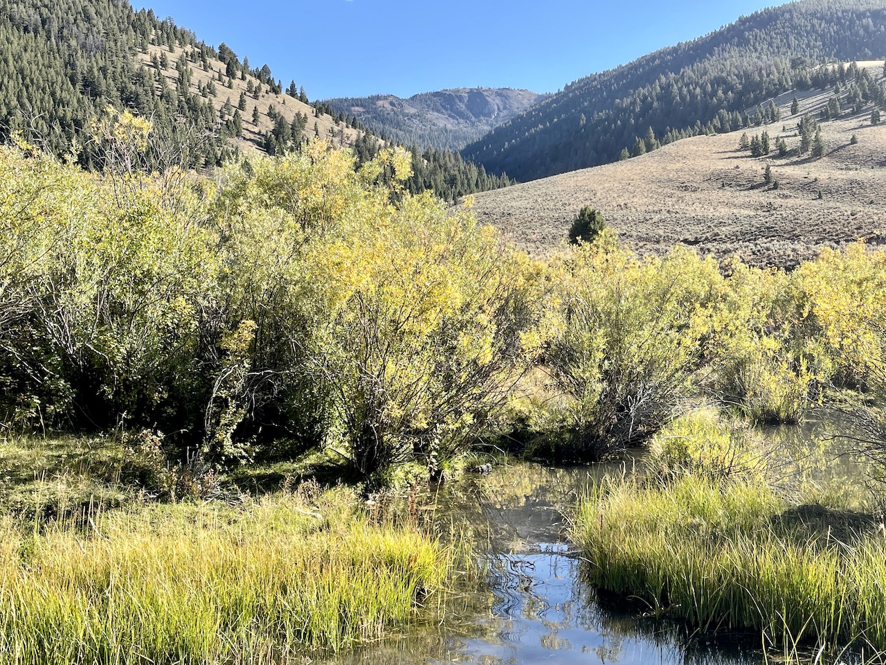 Copper Basin Ranch property picture 44 of 72