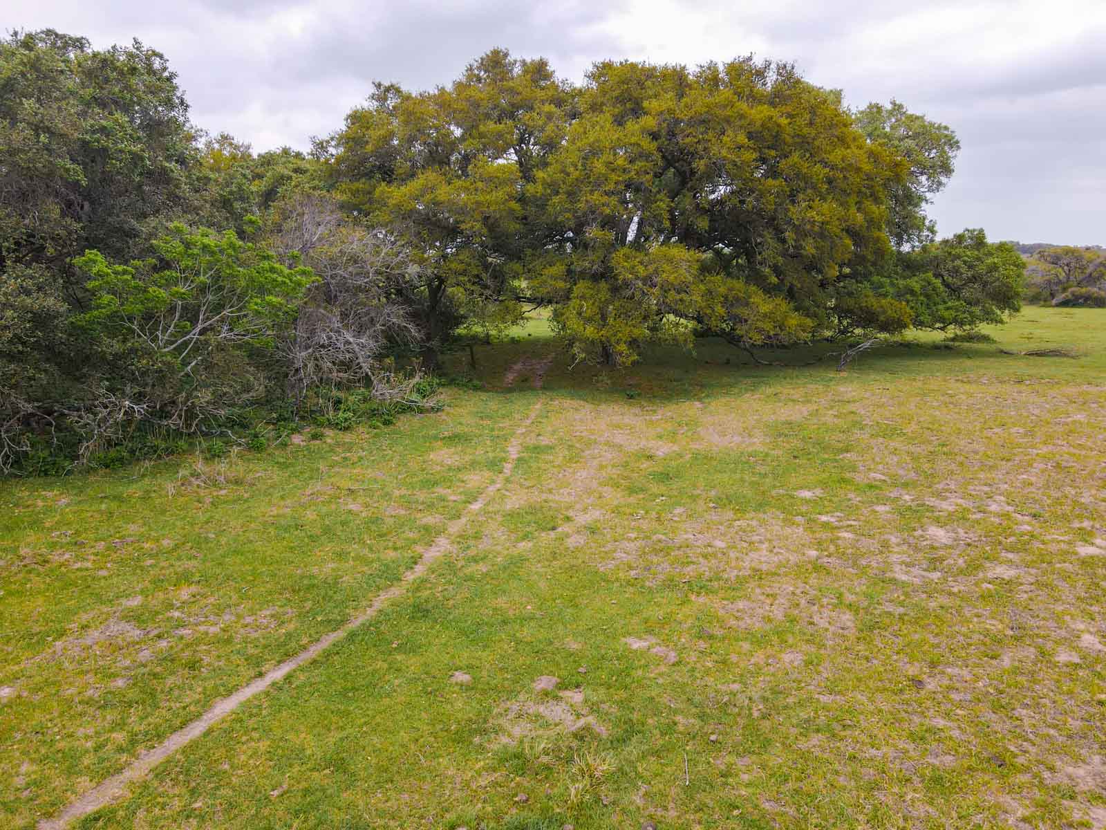 Clark's Creek Ranch property picture 33 of 42