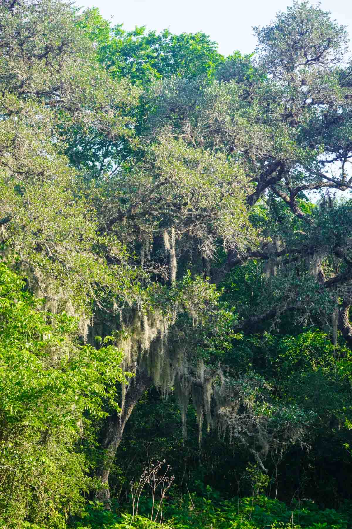 Clark's Creek Ranch property picture 34 of 42