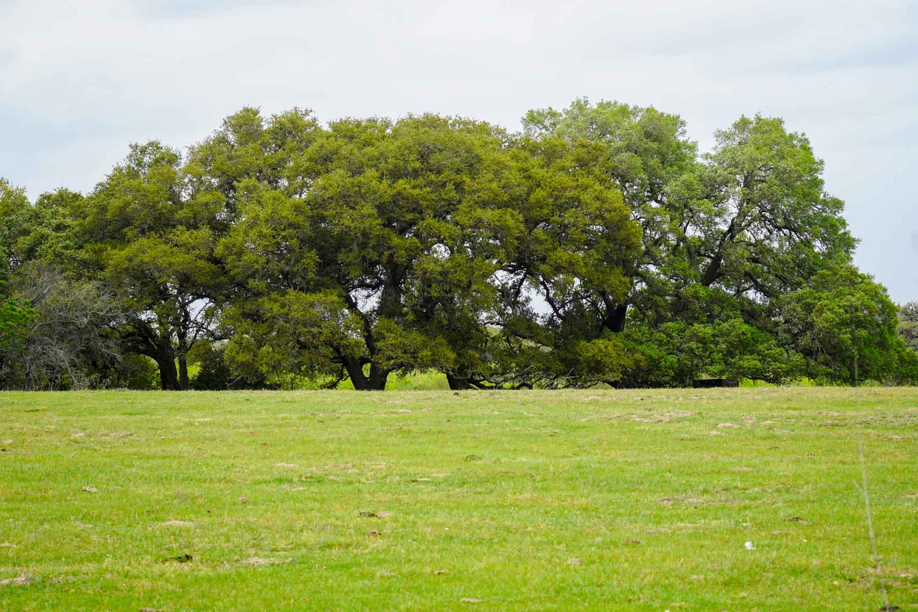 Clark's Creek Ranch property picture 18 of 42