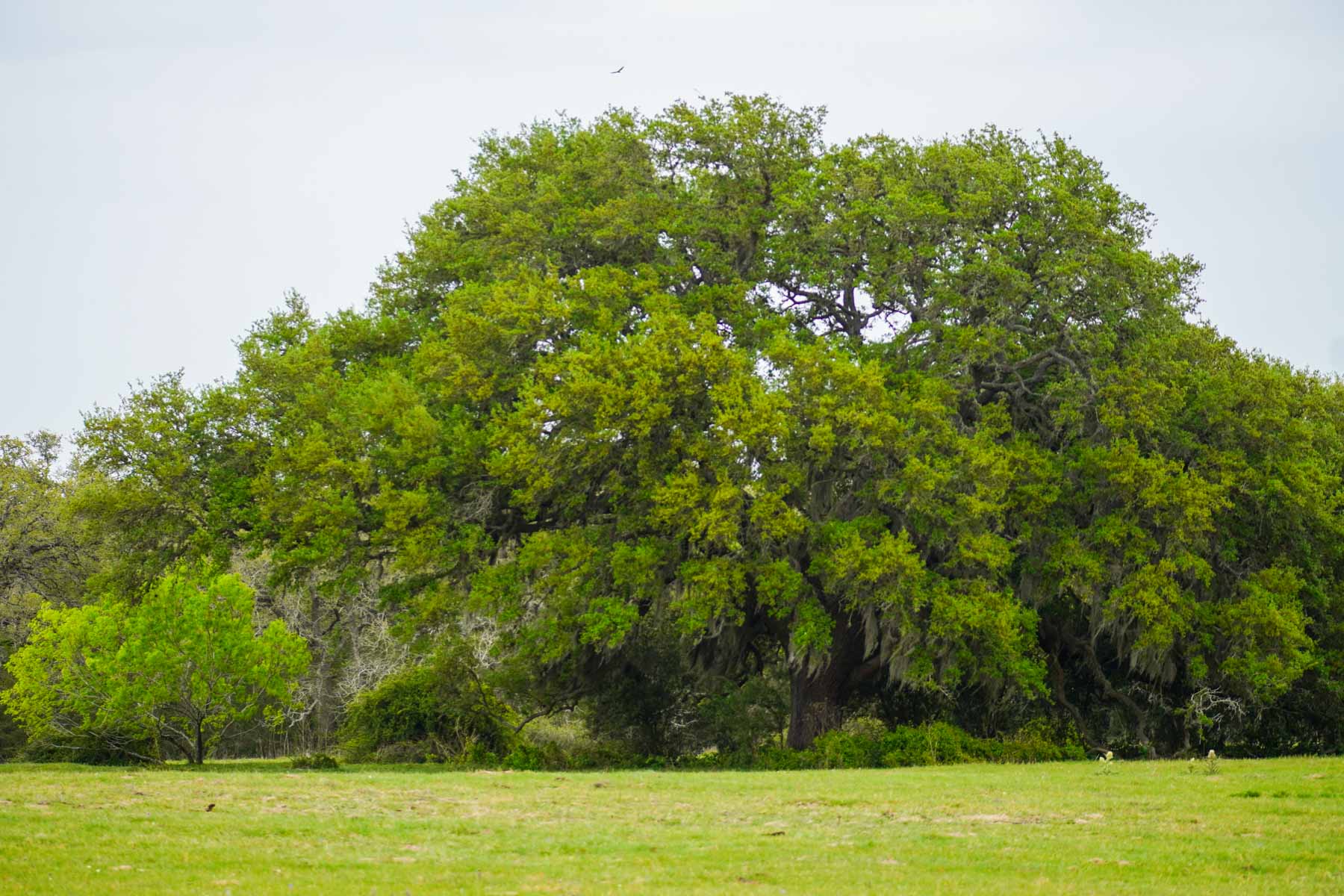 Clark's Creek Ranch property picture 38 of 42