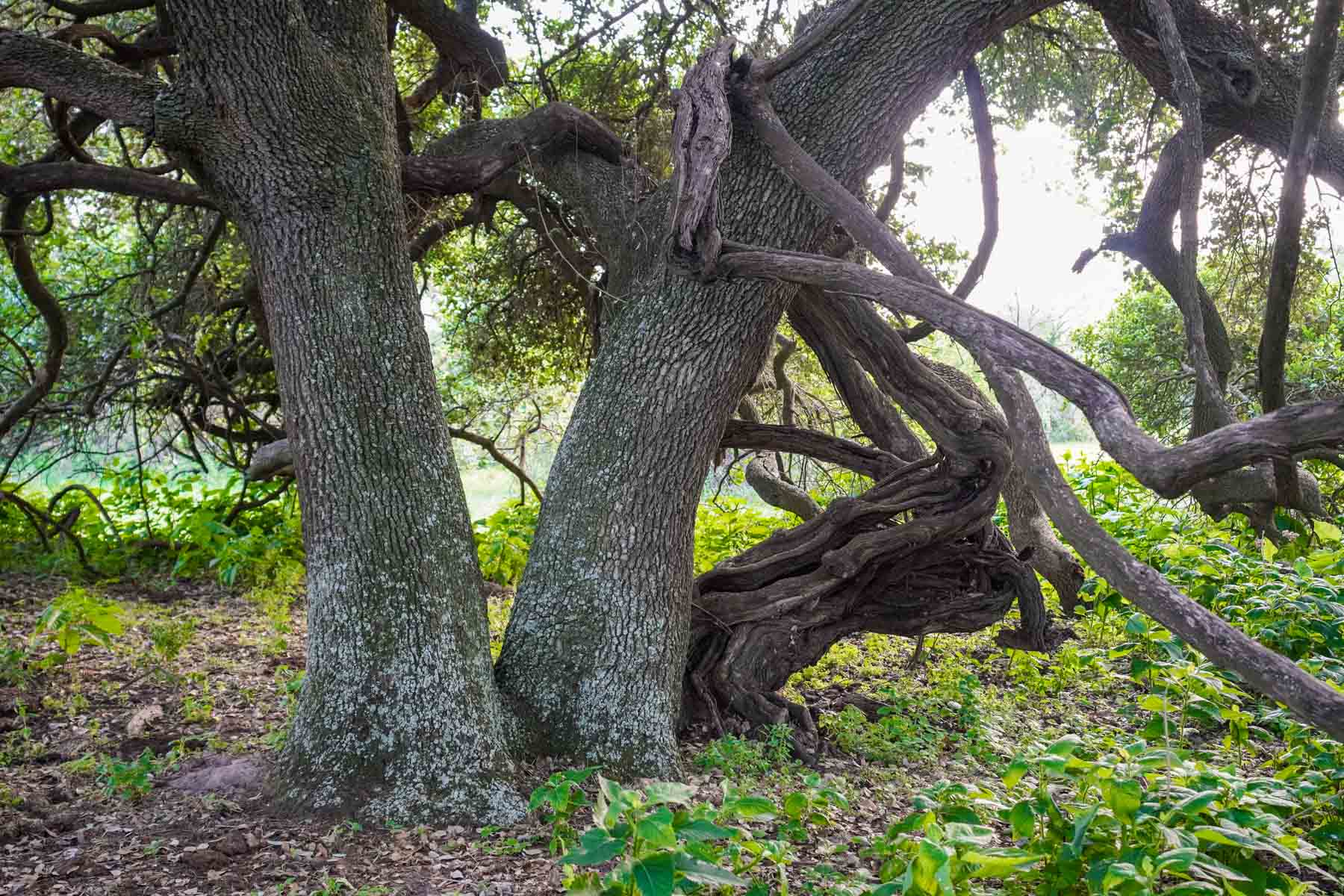 Clark's Creek Ranch property picture 36 of 42