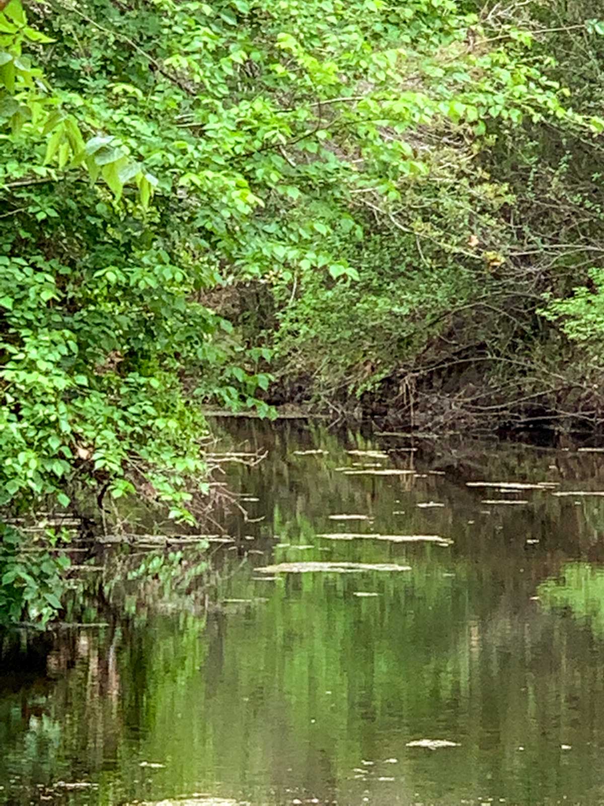 Clark's Creek Ranch property picture 20 of 42