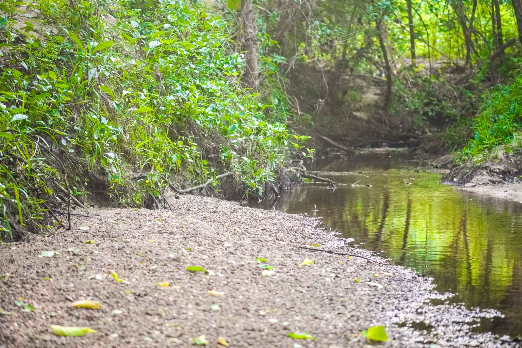 Clark's Creek Ranch property picture 14 of 42