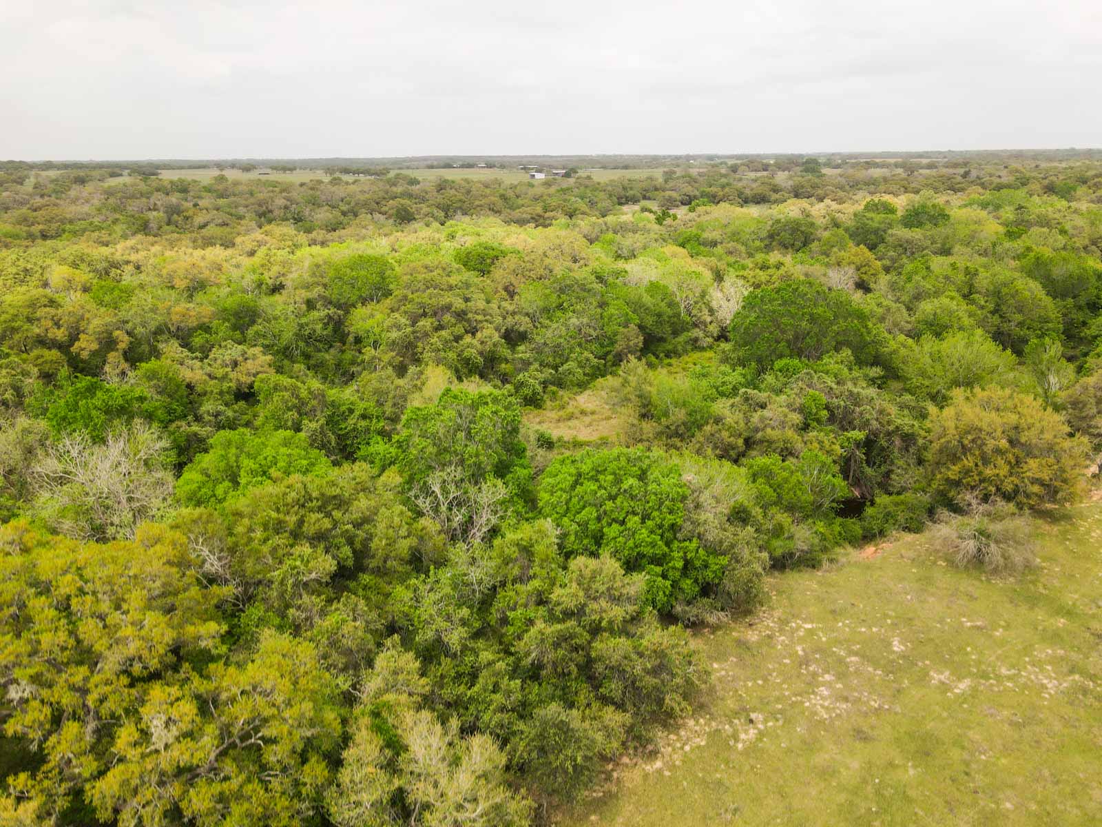 Clark's Creek Ranch property picture 22 of 42