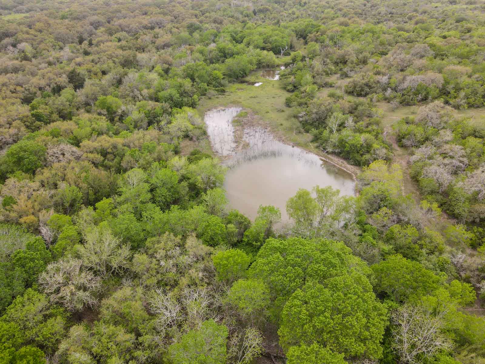 Clark's Creek Ranch property picture 24 of 42