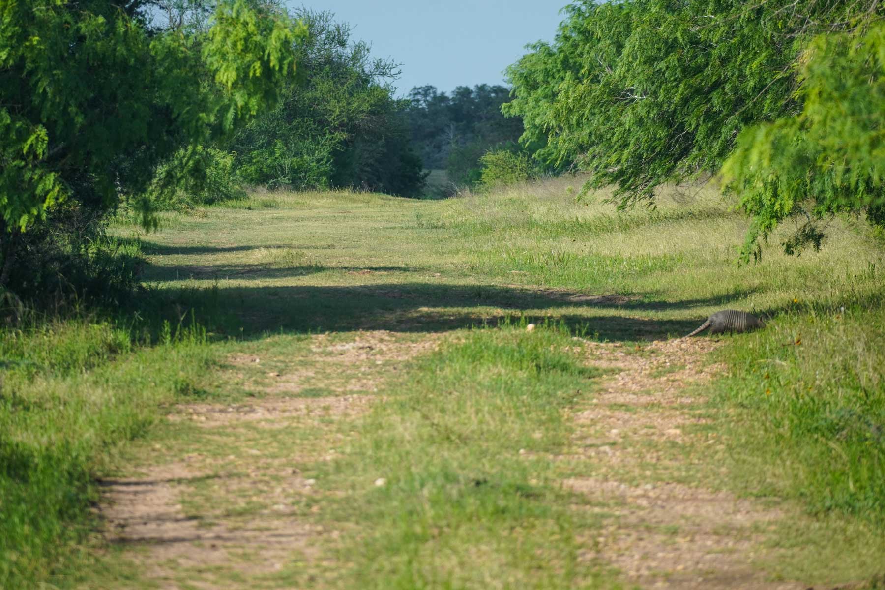 Clark's Creek Ranch property picture 41 of 42