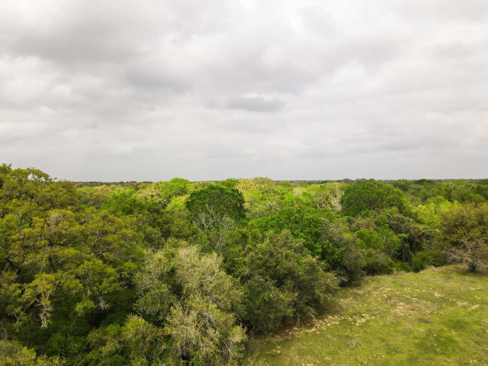Clark's Creek Ranch property picture 28 of 42