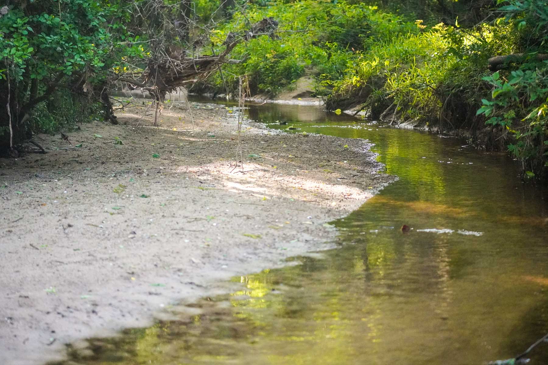 Clark's Creek Ranch property picture 5 of 42