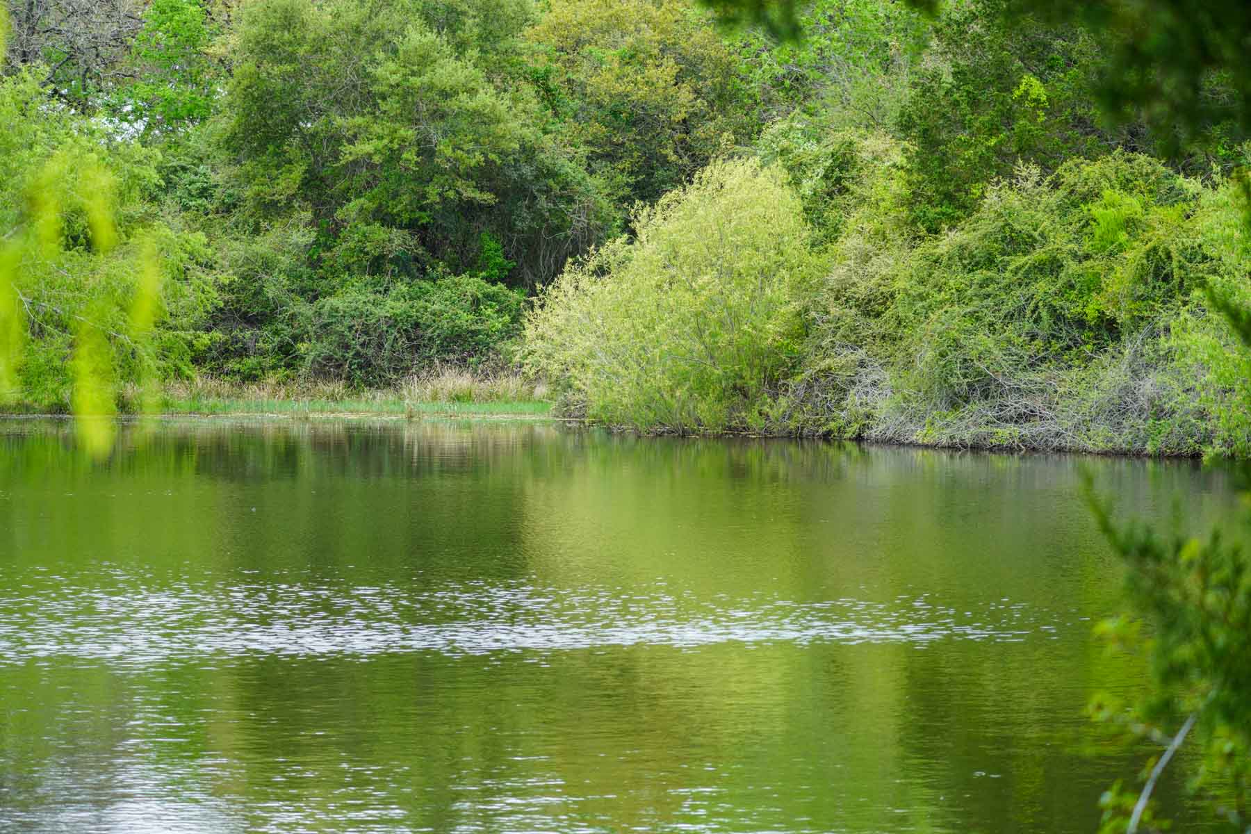 Clark's Creek Ranch property picture 10 of 42