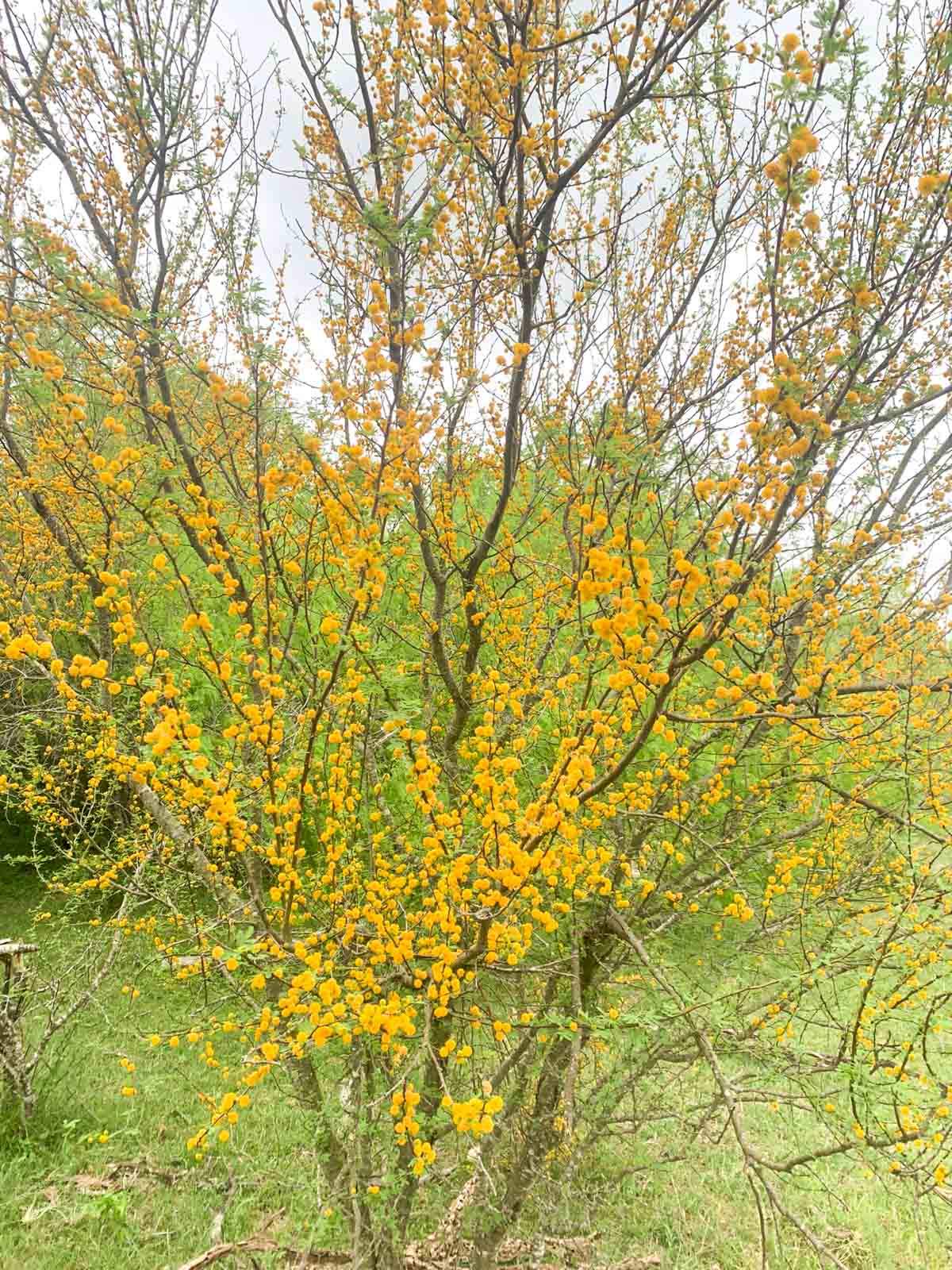 Clark's Creek Ranch property picture 19 of 42