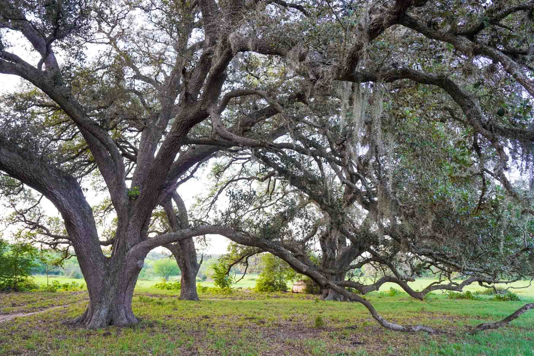 Clark's Creek Ranch property picture 13 of 42