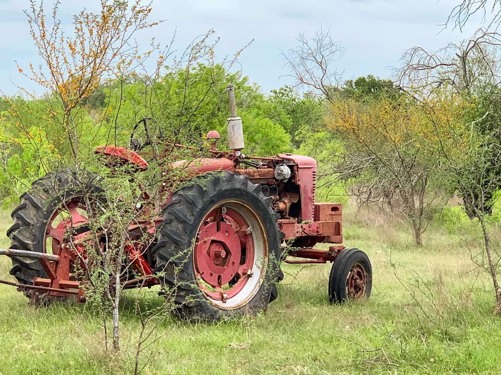 Clark's Creek Ranch property picture 27 of 42