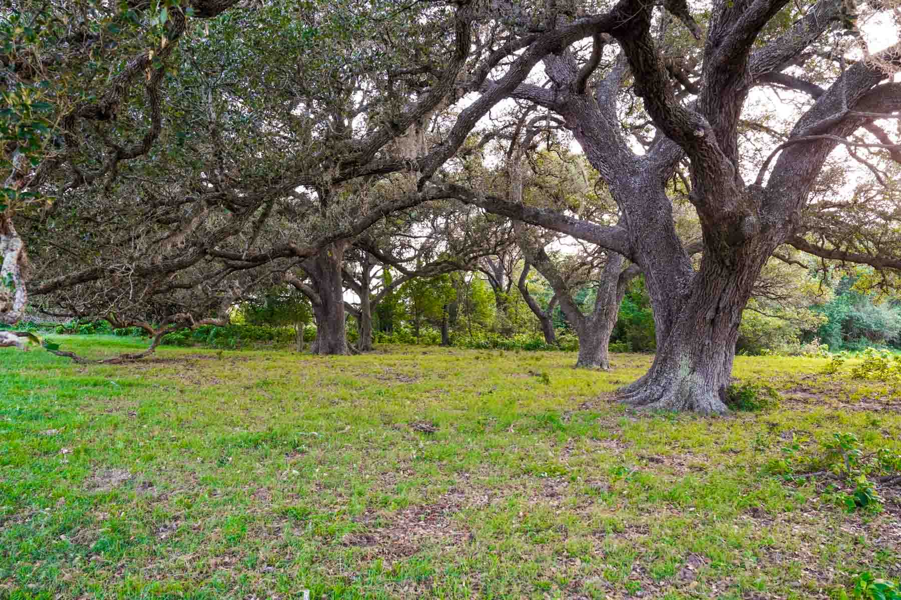 Clark's Creek Ranch property picture 6 of 42