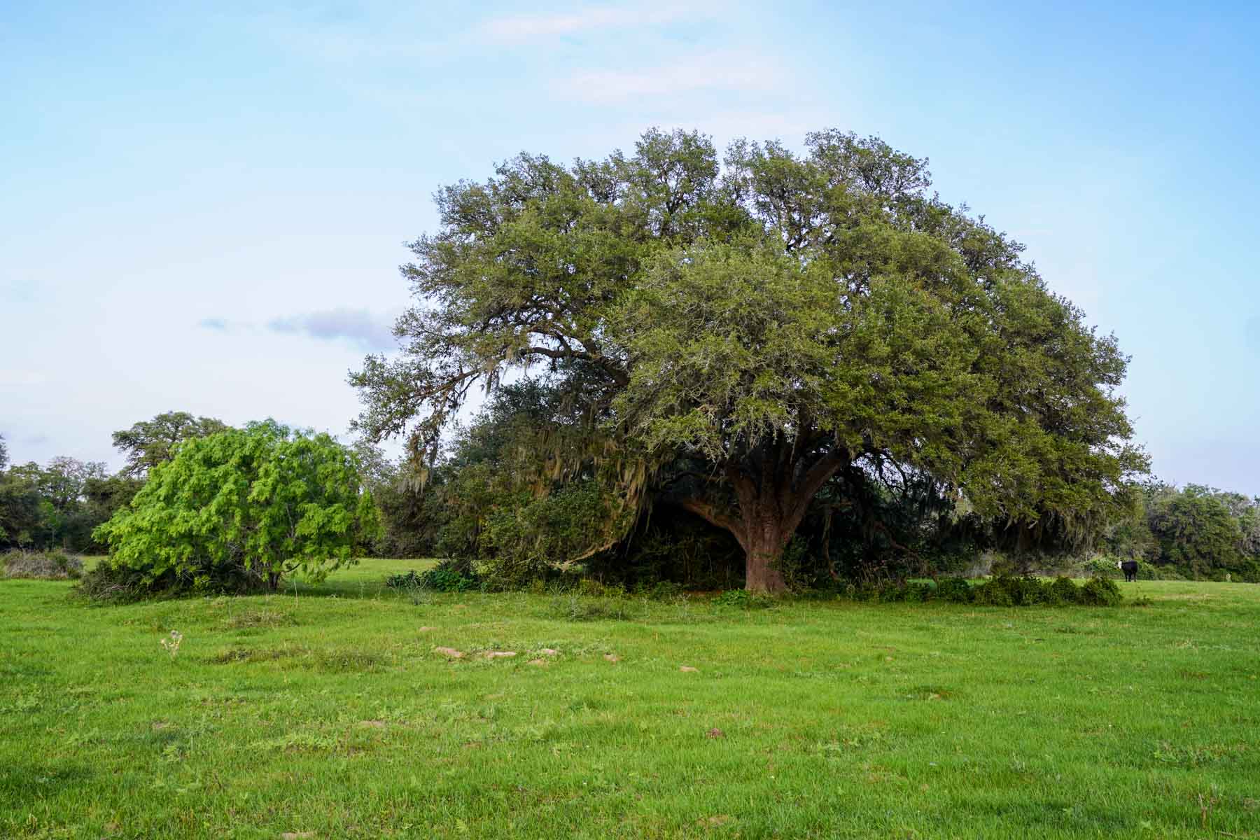Clark's Creek Ranch property picture 2 of 42