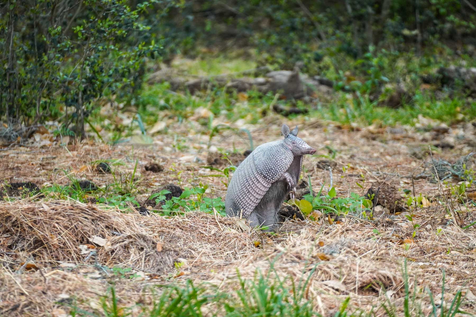 Clark's Creek Ranch property picture 11 of 42