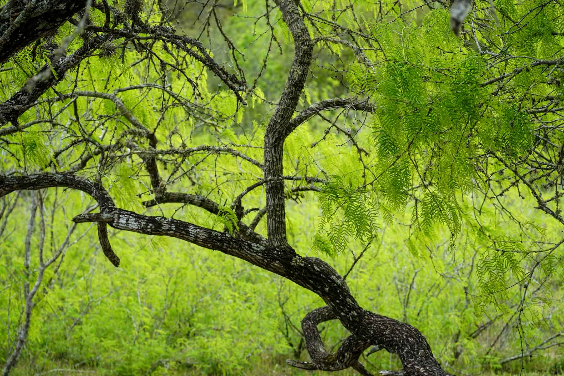 Clark's Creek Ranch property picture 4 of 42