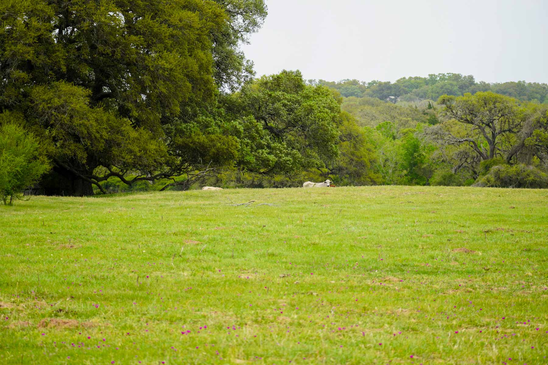 Clark's Creek Ranch property picture 32 of 42