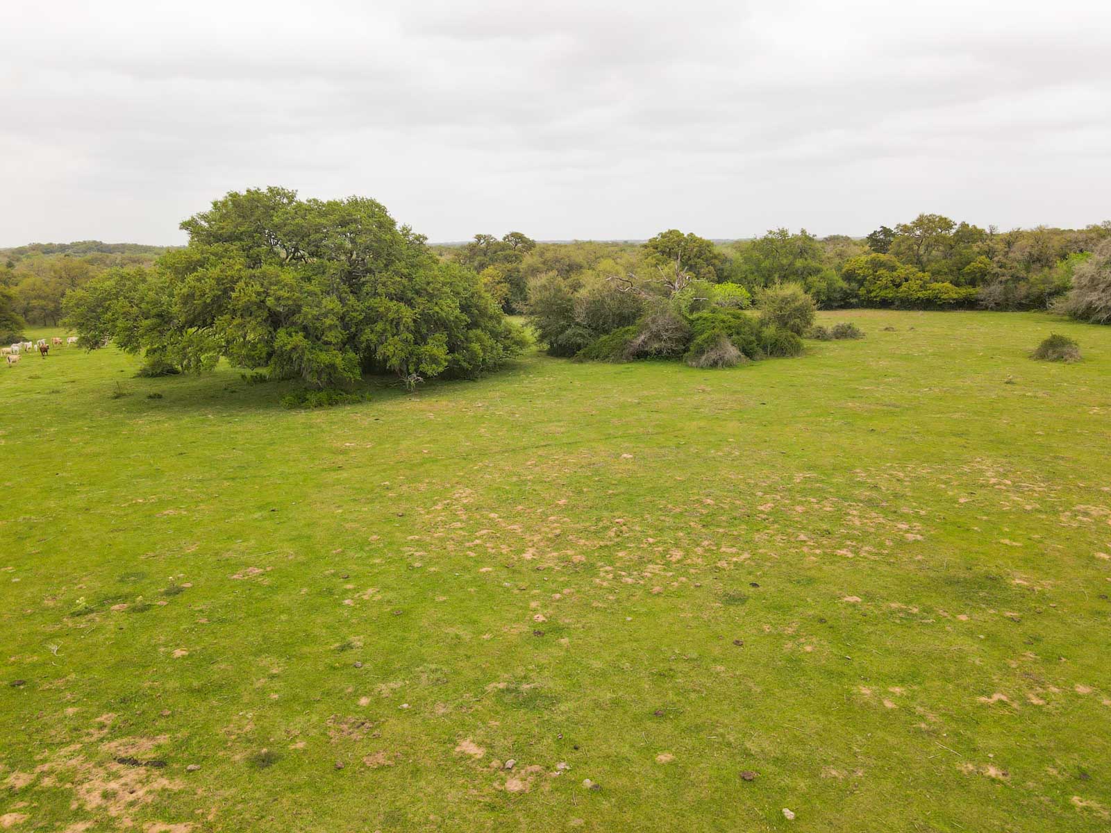 Clark's Creek Ranch property picture 15 of 42