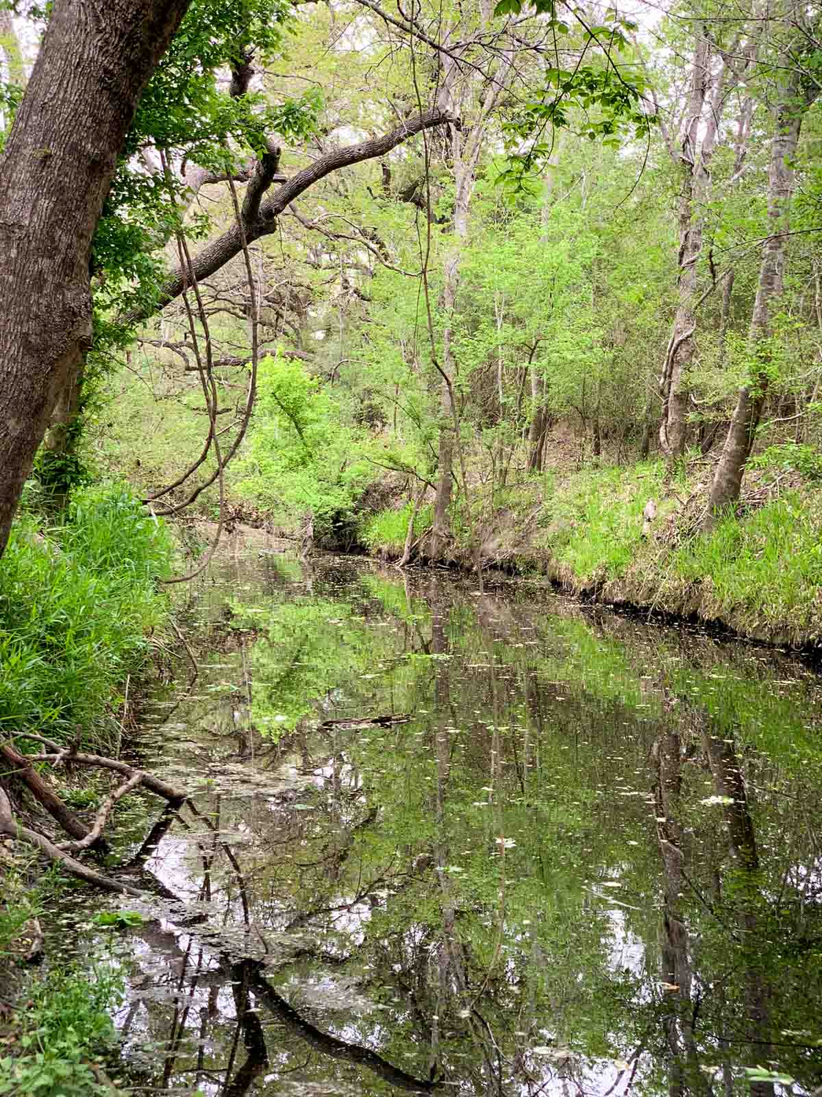 Clark's Creek Ranch property picture 30 of 42