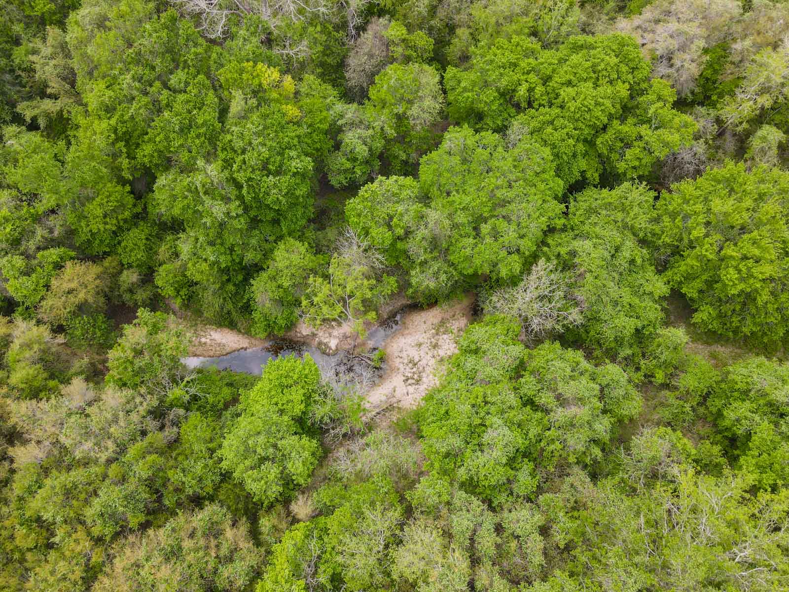 Clark's Creek Ranch property picture 35 of 42