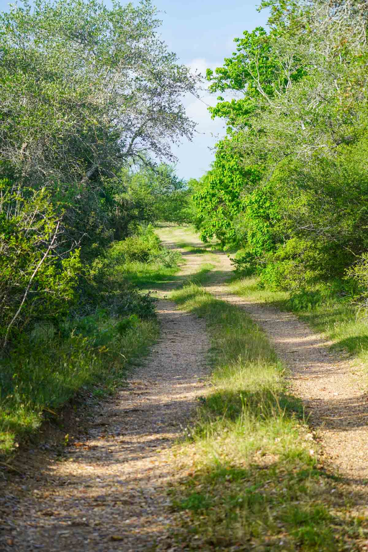 Clark's Creek Ranch property picture 25 of 42