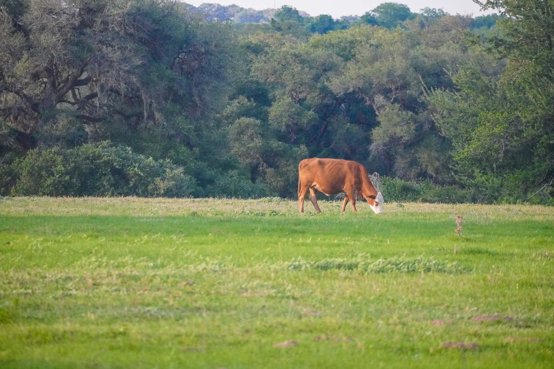 Clark's Creek Ranch property picture 9 of 42