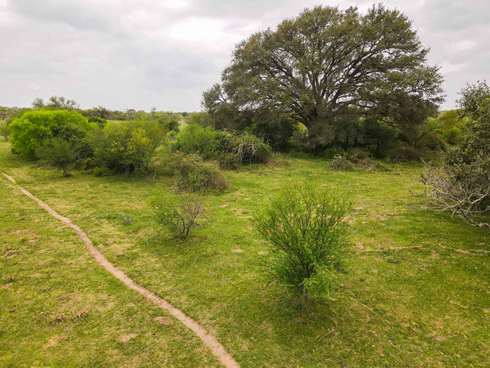 Clark's Creek Ranch property picture 21 of 42