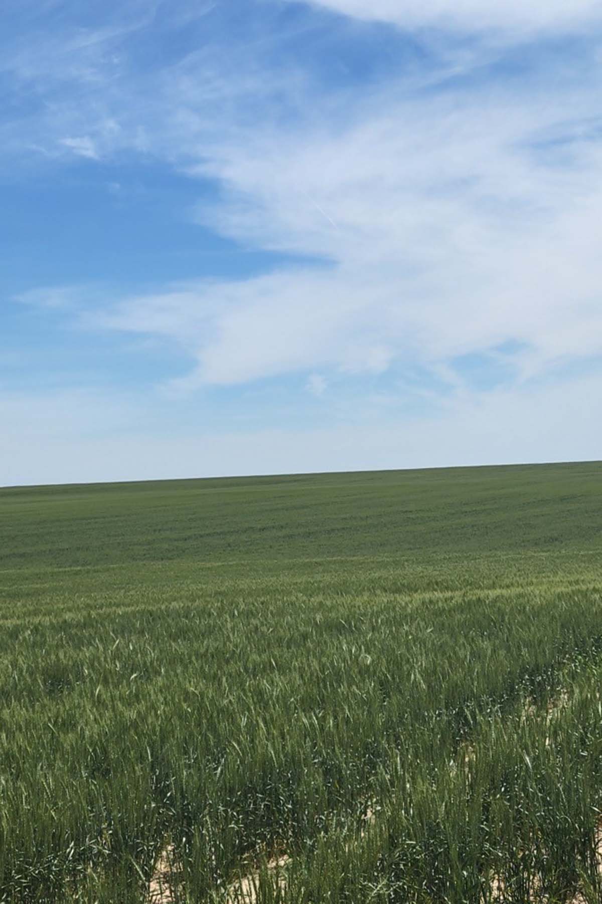 Kit Carson County Farmland property picture 17 of 31