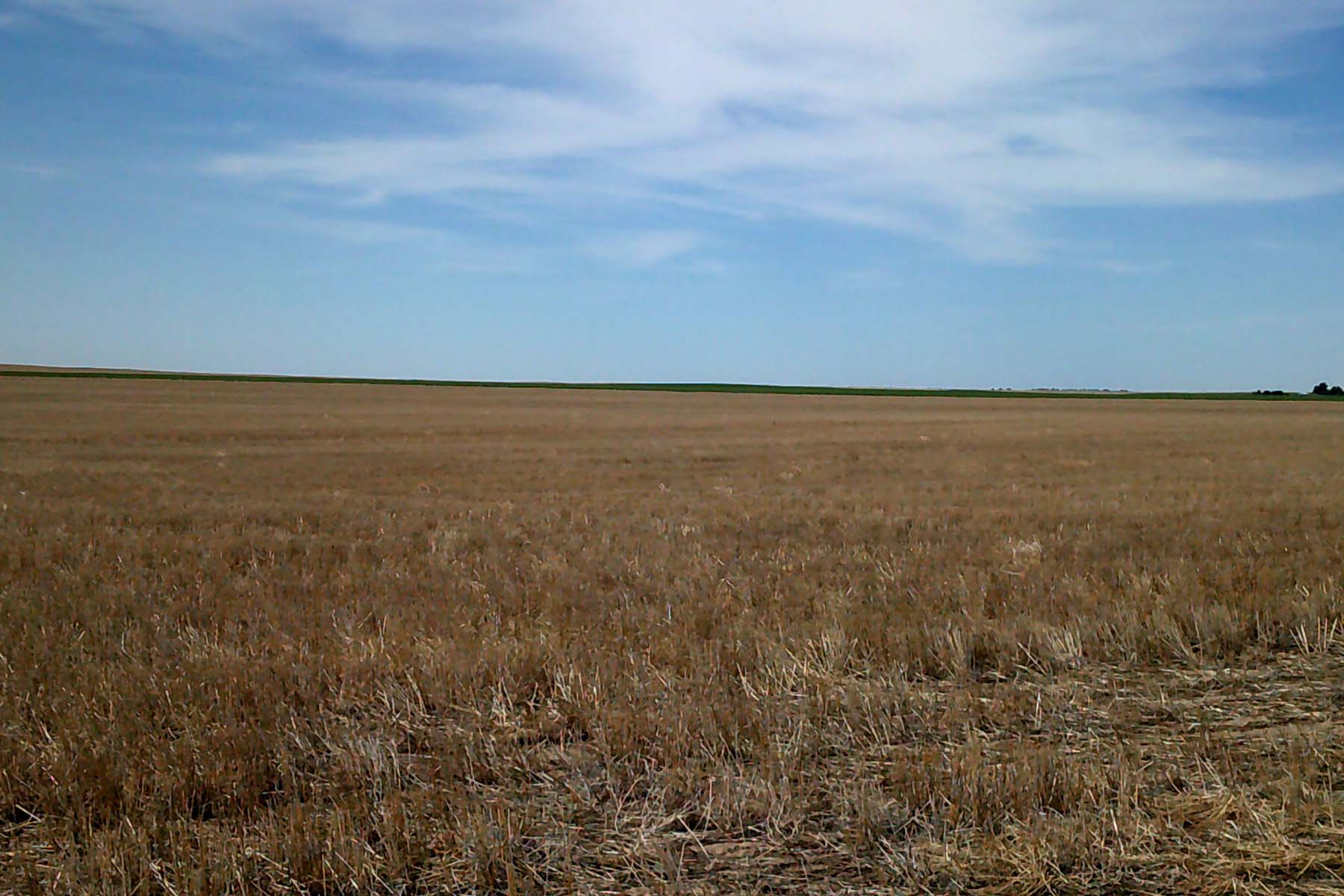 Kit Carson County Farmland property picture 25 of 31