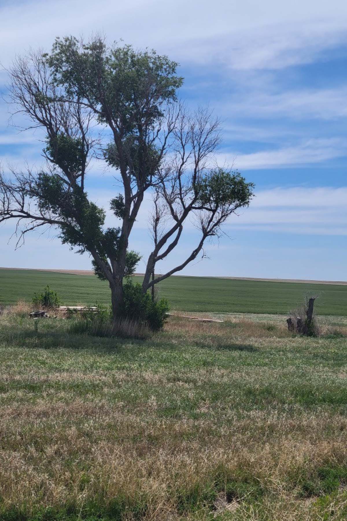 Kit Carson County Farmland property picture 26 of 31